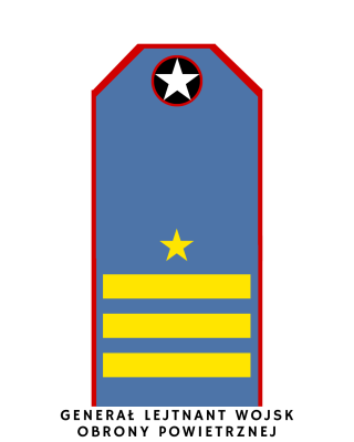 17.png