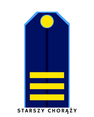 9.png