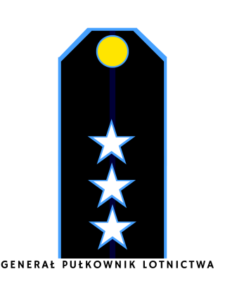 9.png